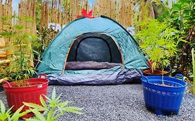 Ganja Gardens Camping